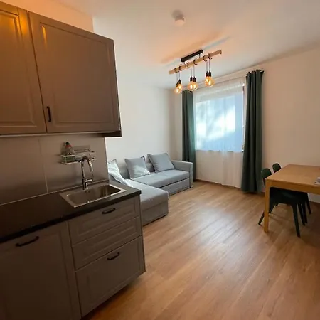 Zentrum & Parkmoeglichkeit * Graz