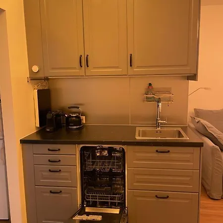 Zentrum&parkmöglichkeit Apartment Graz